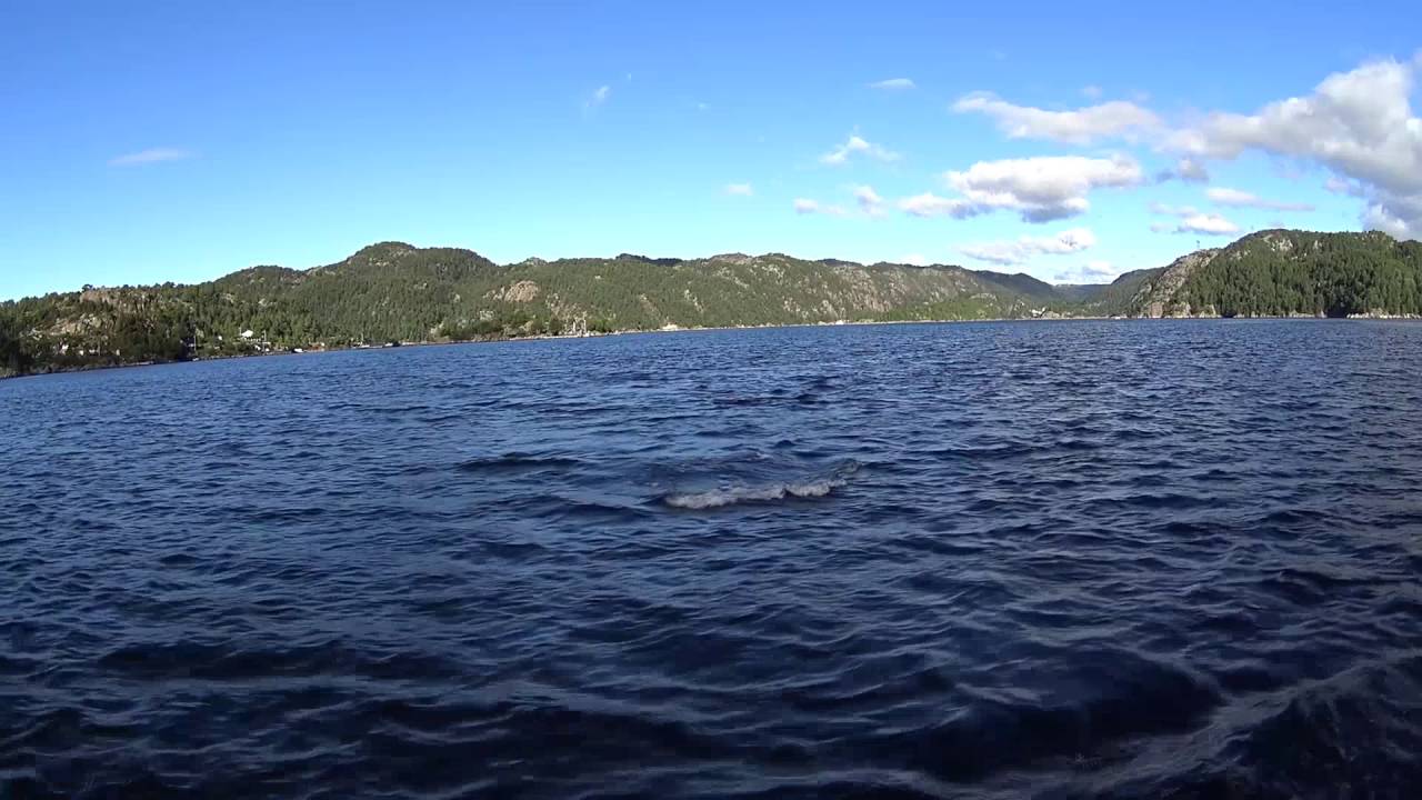 Kvitskjeving i Stolsfjorden