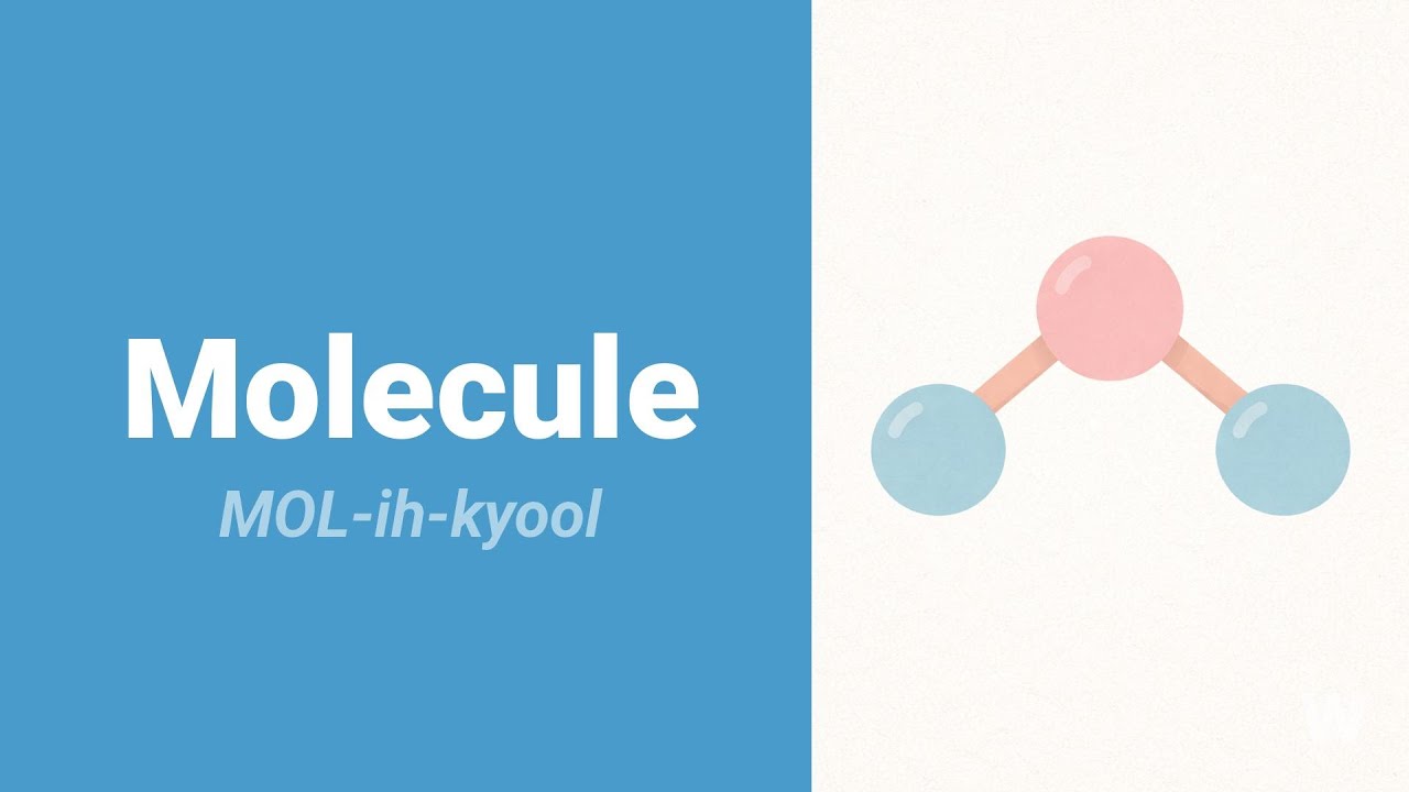 How to Pronounce Molecule?