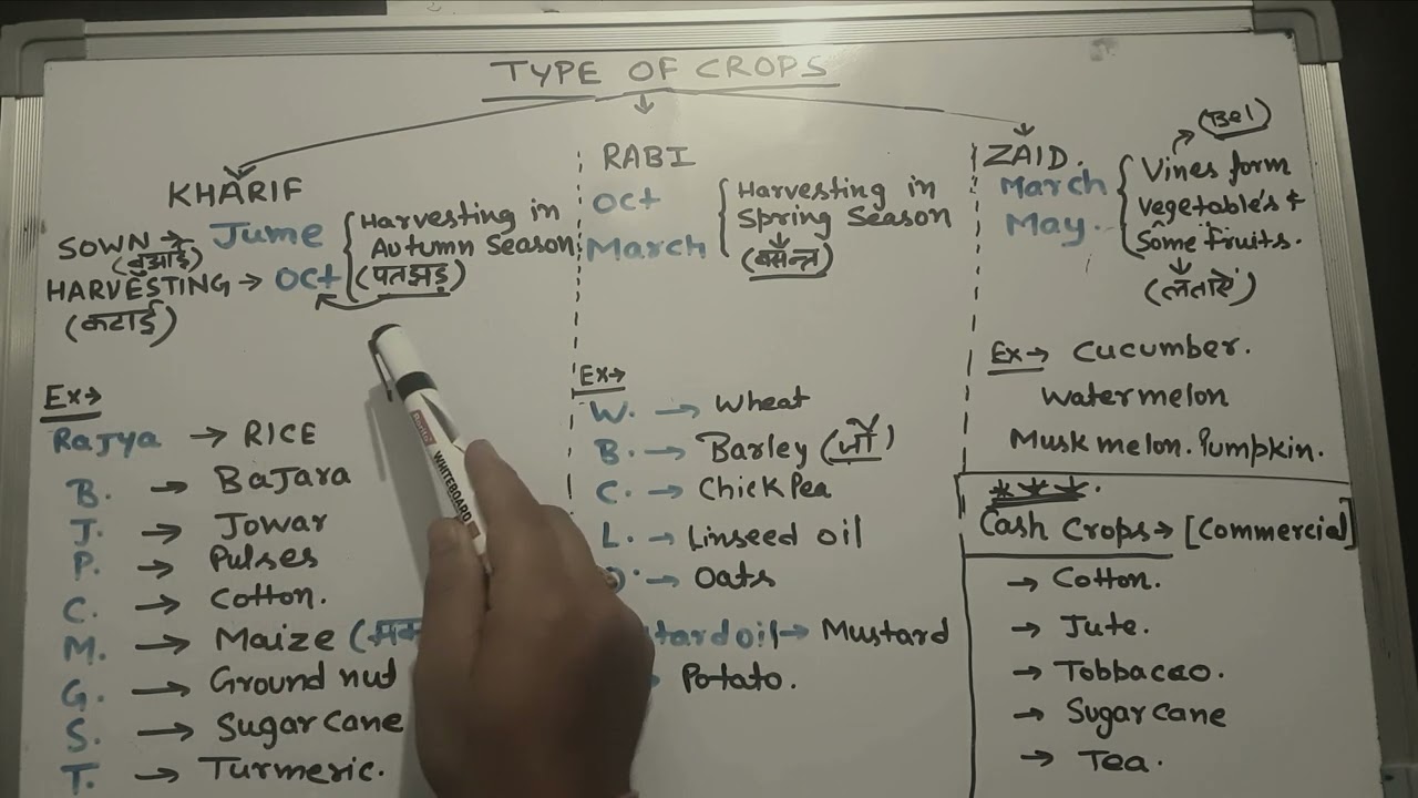 Tricks to remember Rabi, Kharif, Zaid crops (UPSC/IAS, SSC CGL AND OTHER COMPETITIVE EXAMS)