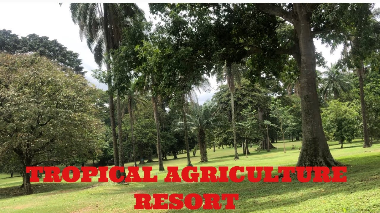 SECRET VACATION RESORT IN IBADAN.. (IITA INTERNATIONAL HOUSE) best resorts in Nigeria