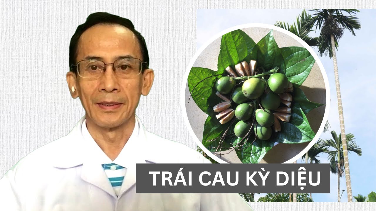 Công Dụng Chưa Biết của Trái Cau - Bs. Trần Văn Năm