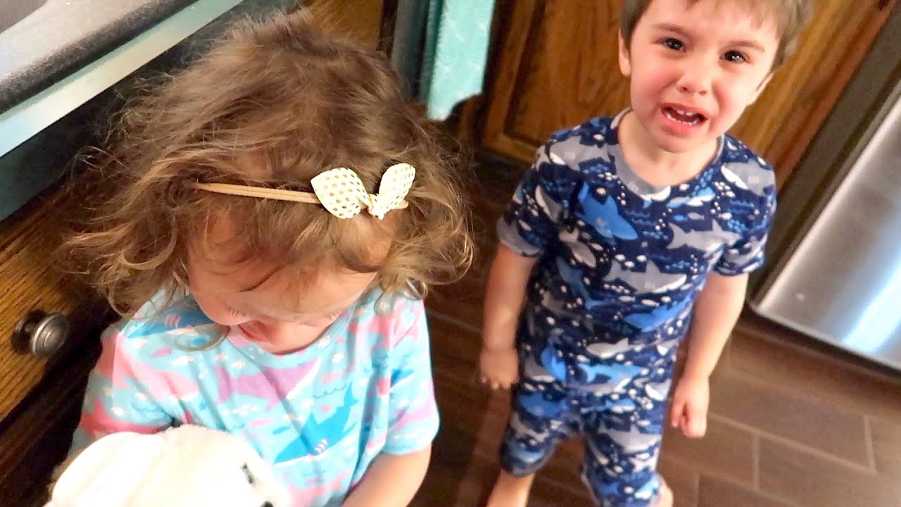 Twins Silly Quarantine Fight
