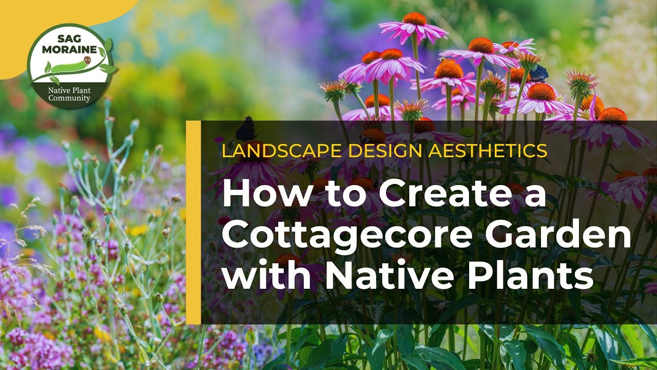 How to Create a Cottagecore Garden with Native Plants