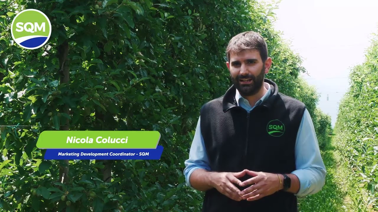 Boosting Color & Yield with Ultrasol NPKs and Ultrasol K Plus in ITALY - Azienda Agrícola Mengon