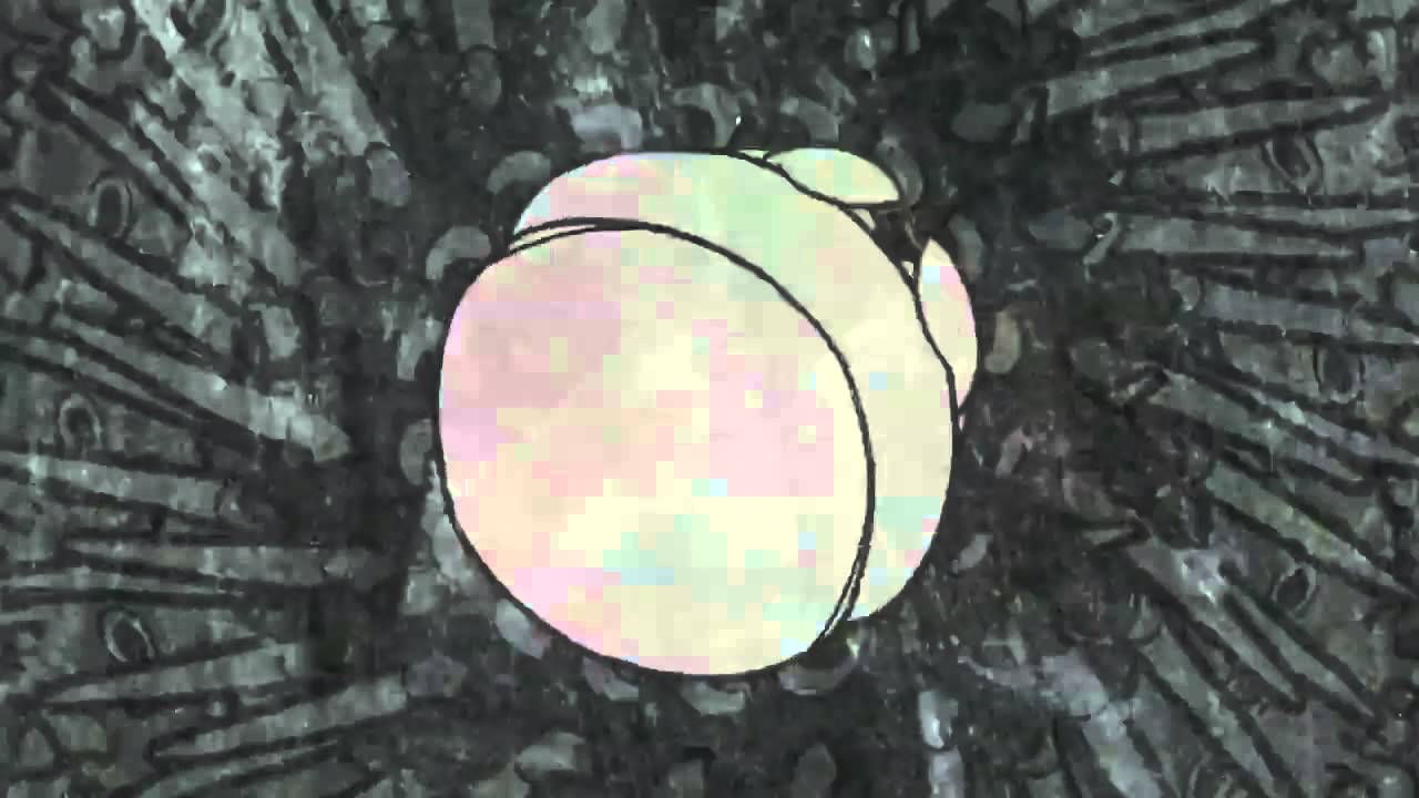 Guts - Brand New Revolution - Video by MIRAI MIZUE