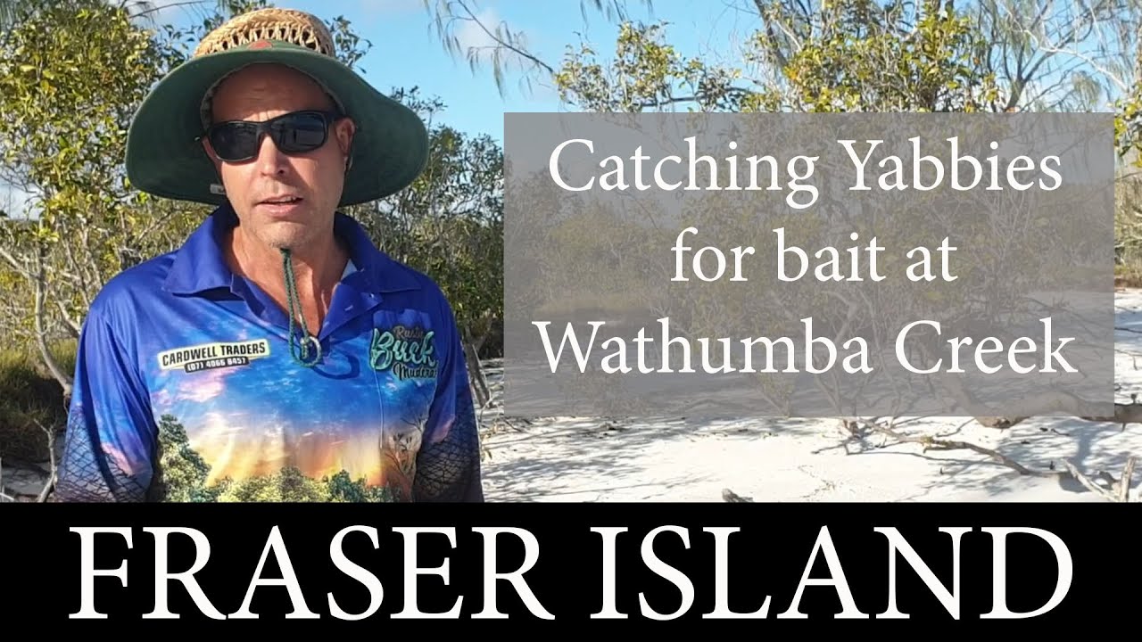 Catching Yabbies for Bait at Wathumba Creek on Fraser Island | Fraser Fishing | All About Fraser