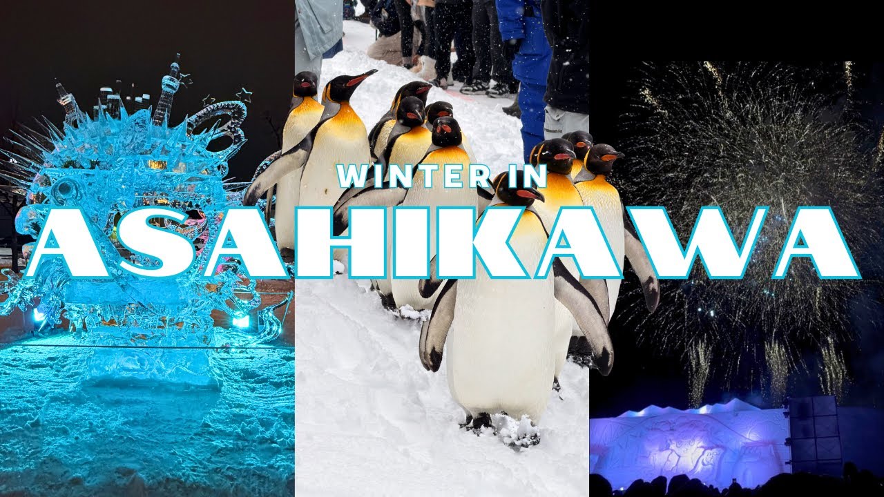 Asahikawa Winter Festival + Asahiyama Zoo