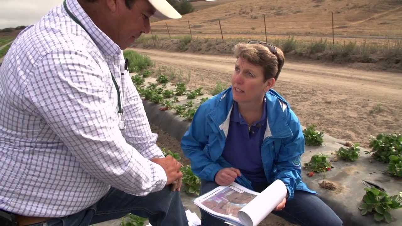 Nutrient Management for Farmland Irrigation Systems