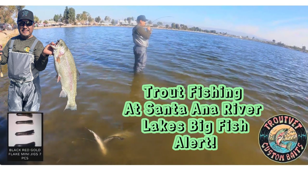 Santa Ana River Lakes Trout Fishing Big Fish🚨 Drop Shot & Mini Jigs