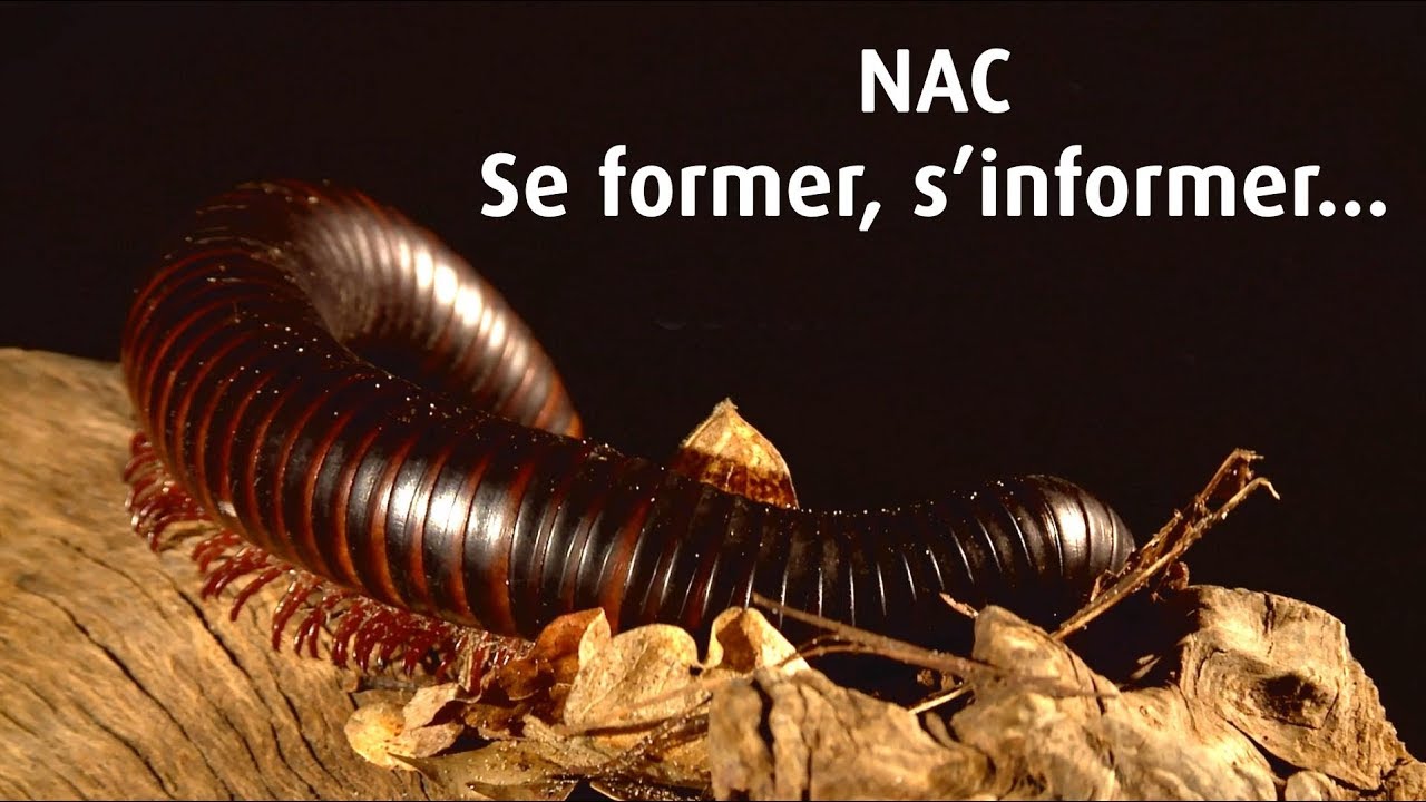 NAC - Se former, s'informer - reportage à La Ferme Tropicale