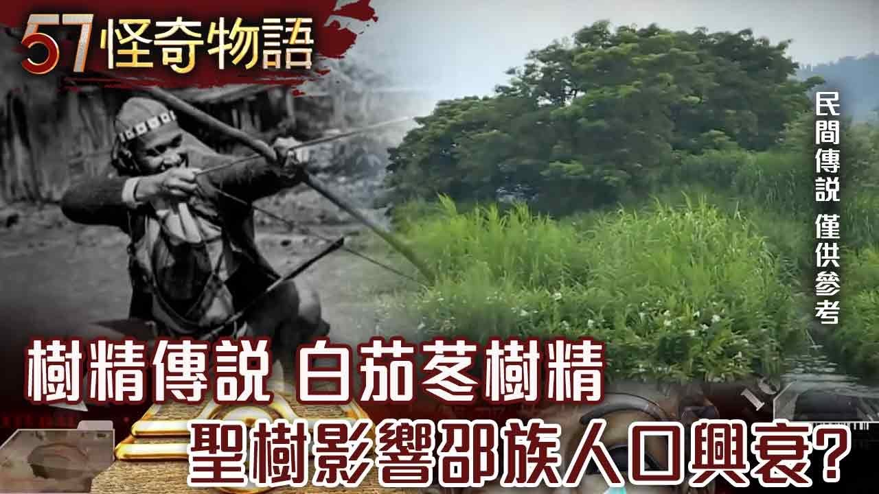 【精選】樹精傳說 白茄苳樹精 聖樹影響邵族人口興衰？【57怪奇物語】@57StrangerThings