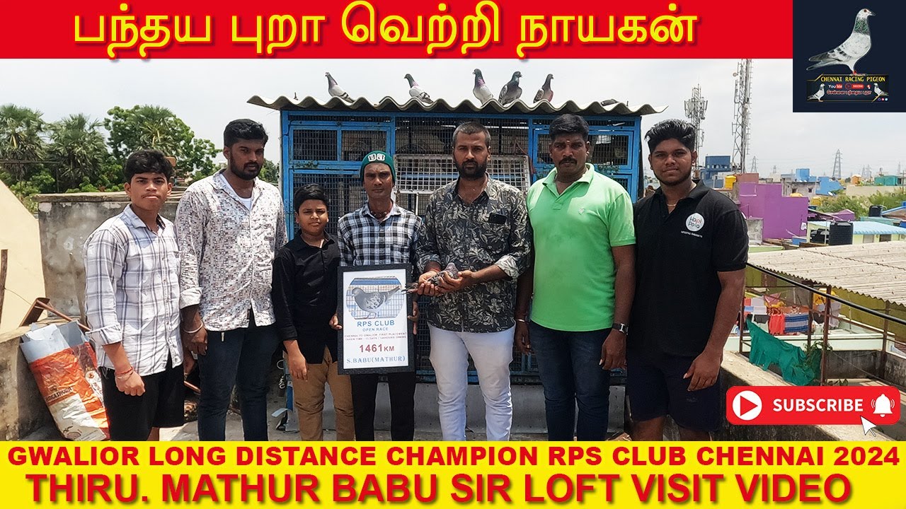 தொலைதுரா பந்தய புறா வெற்றி நாயகன்  | Gwalior Champion 2024 Thiru. Mathur Babu Sir Loft Visit