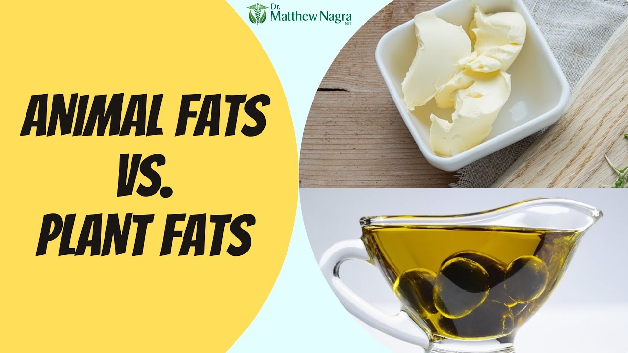 Animal vs. Plant Fats for Heart Health (NEW STUDY)