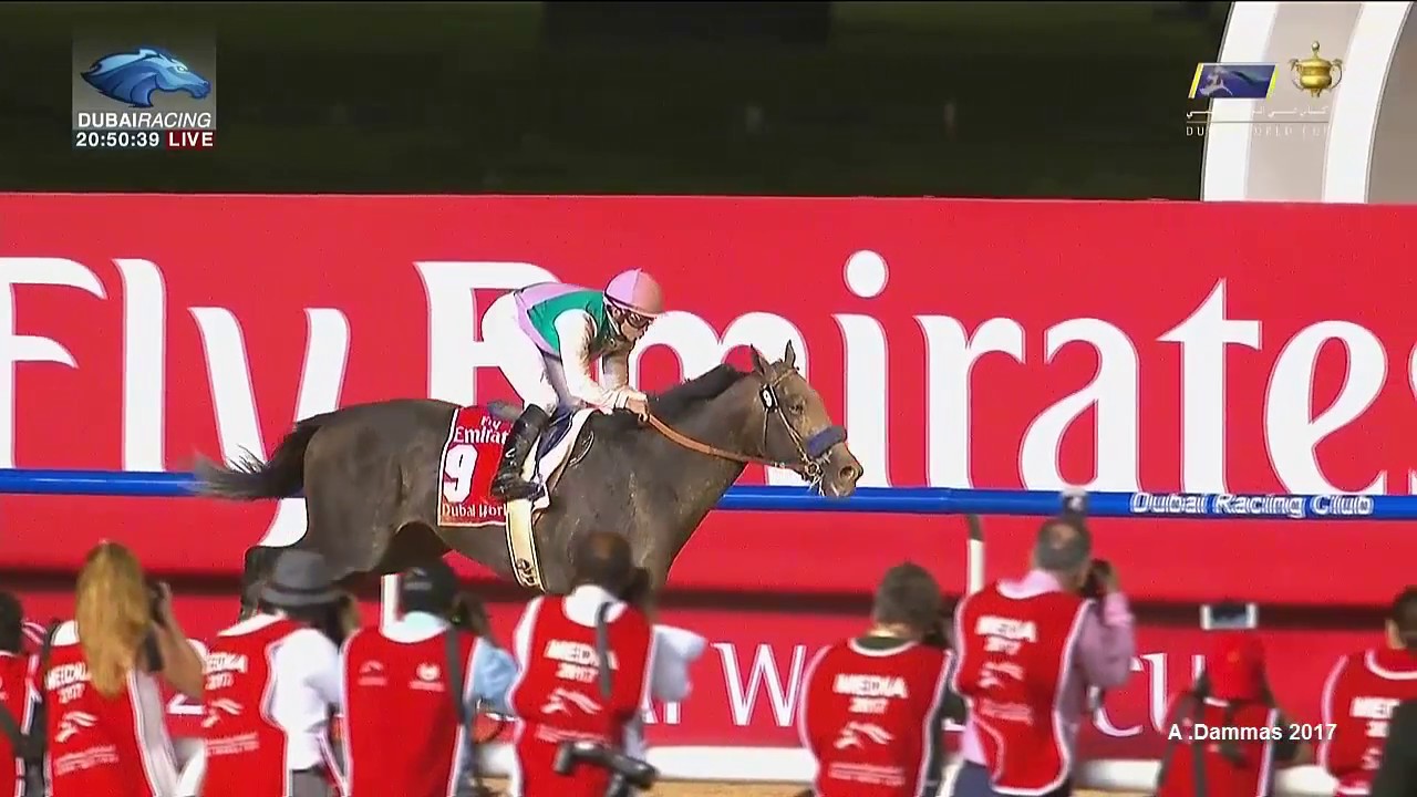 Dubai World Cup 2017 - ARROGATE - All the details