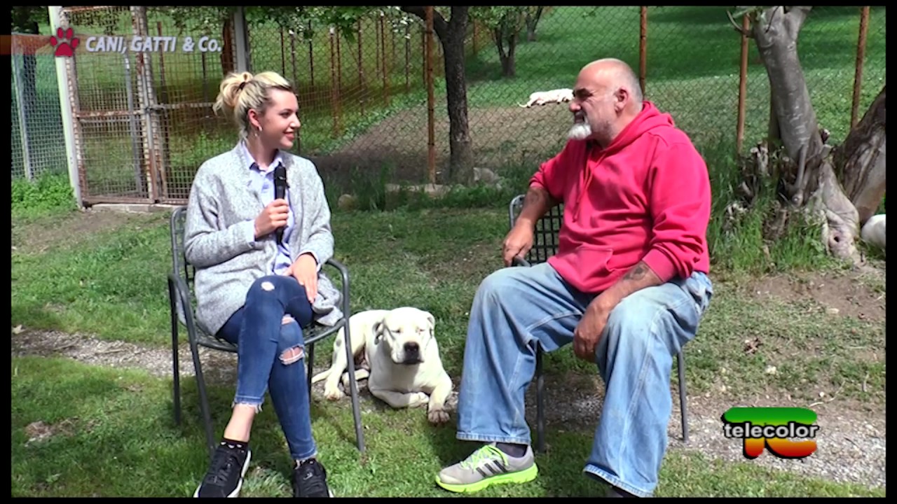 Trasmissione Cani Gatti & Co: Dogo del bianco manto - 13.05.2017