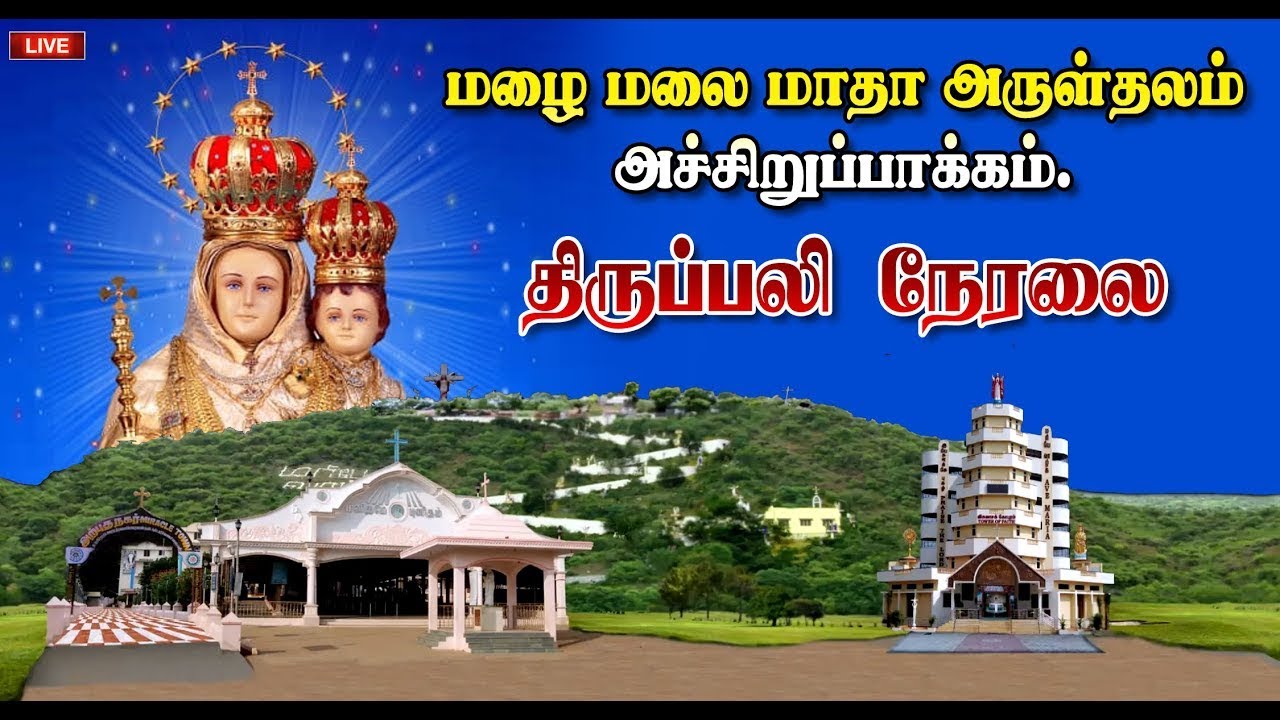 🔴நேரலை 12.02.2025  திருப்பலி அச்சிறுபாக்கம், மழை மலை மாதா அருள்தளம். 6.30 AM