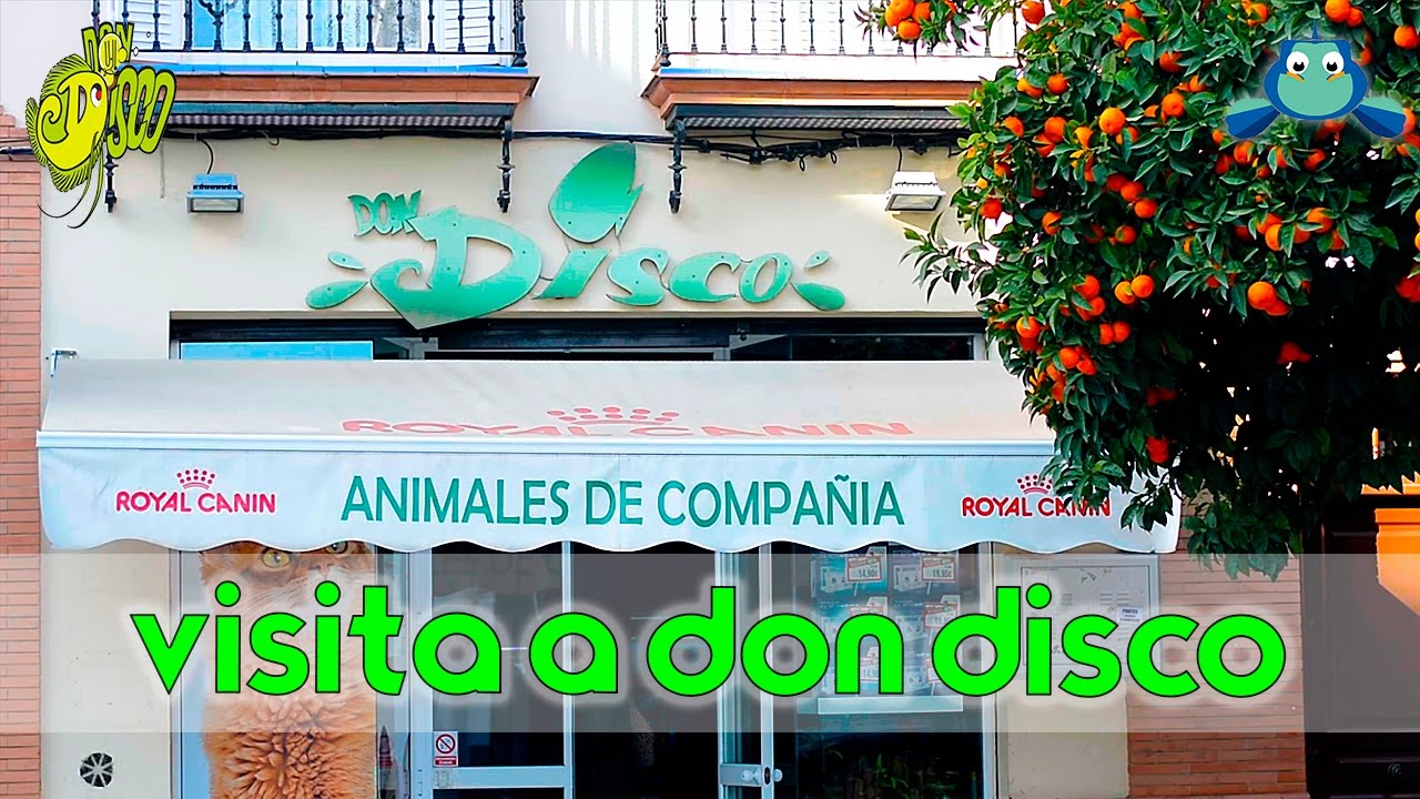 Visita a Don Disco | Tienda Acuariofilia