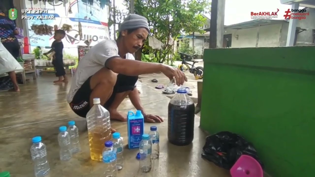 Tutorial Aplikasi  POC Rumput dan Pembuatan Parfum Urine
