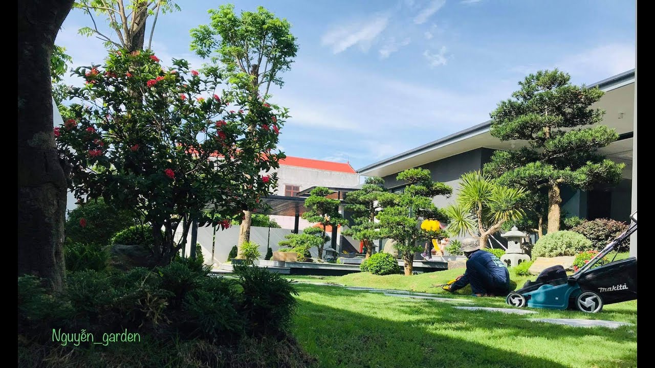 Thiết kế, thi công cảnh quan sân vườn nhà Mr. Quang - Nguyễn Garden