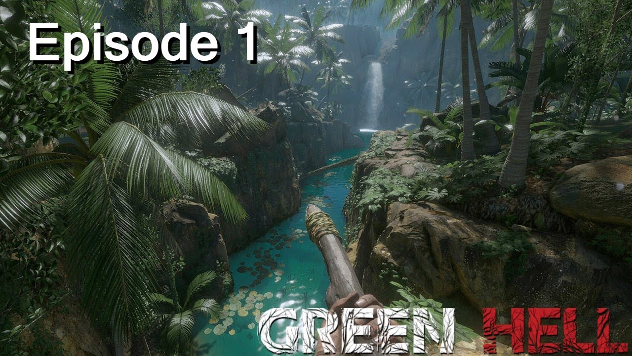 Surviving the Jungle in 
