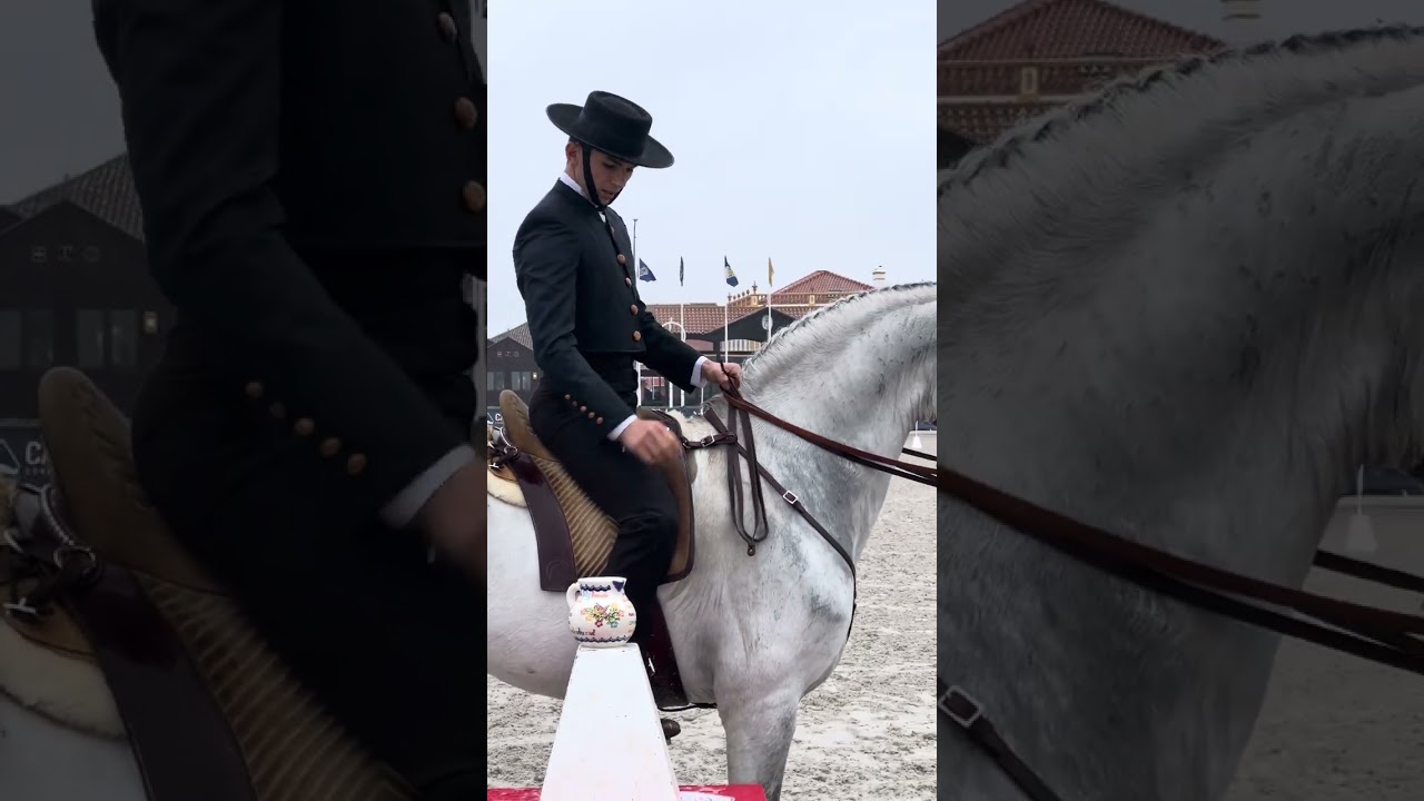 Working Equitation - Tiago Alves with Jasmim Trail test 73.5%