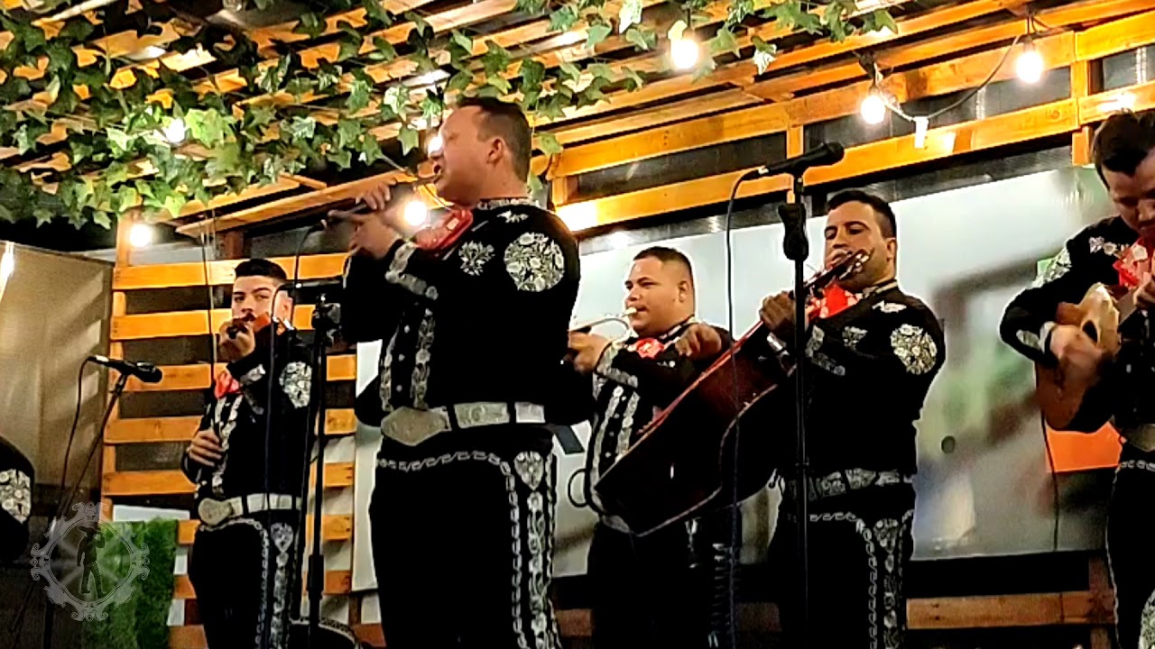 Mariachi Los Auténticos de Guayaquil Video Demostrativos