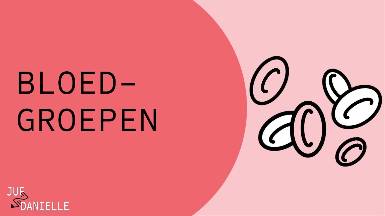 Bloedgroepen
