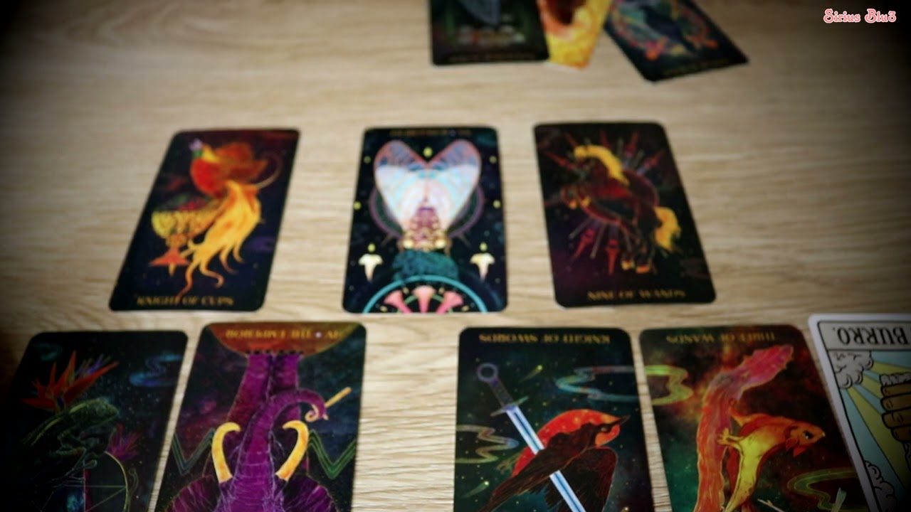 ASMR Tarot Card Shuffling and Placing (NO TALKING)