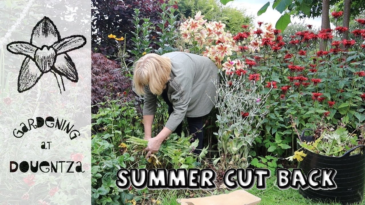 Summer Cut Back || Which Perennials & How || Beyond Deadheading