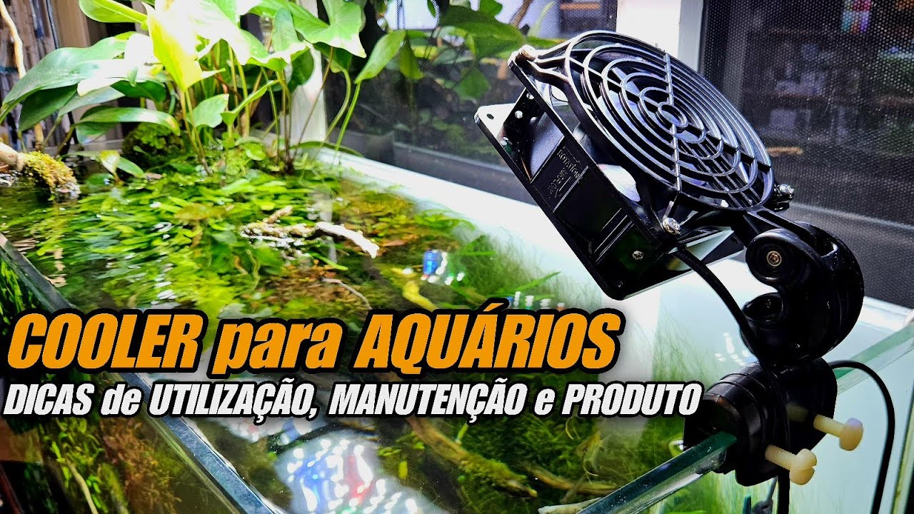 COOLER PARA AQUÁRIOS - DICAS DE UTILIZAÇÃO, MANUTENÇÃO E PRODUTO