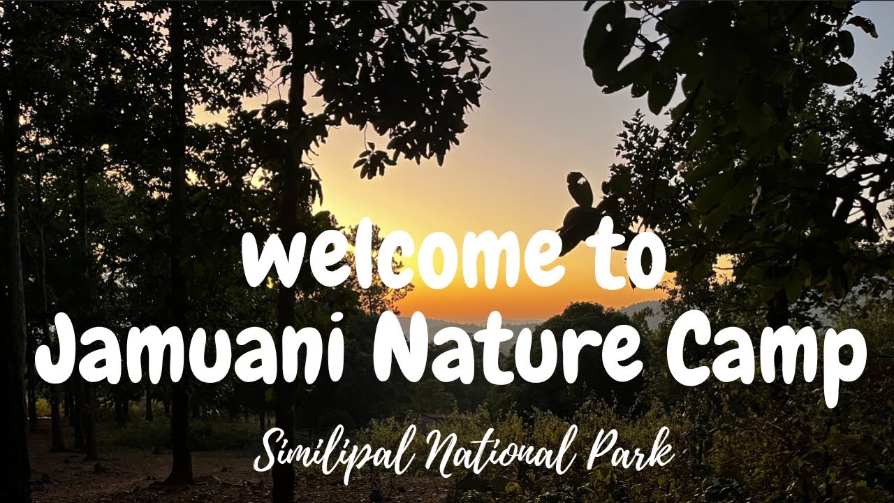 Amazing Experience at Jamuani Nature Camp - Similipal National Park