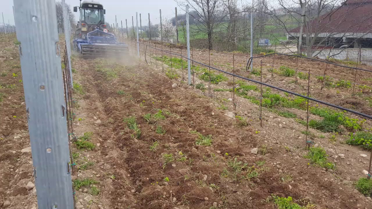 Rolmako Dischiera per vigneto