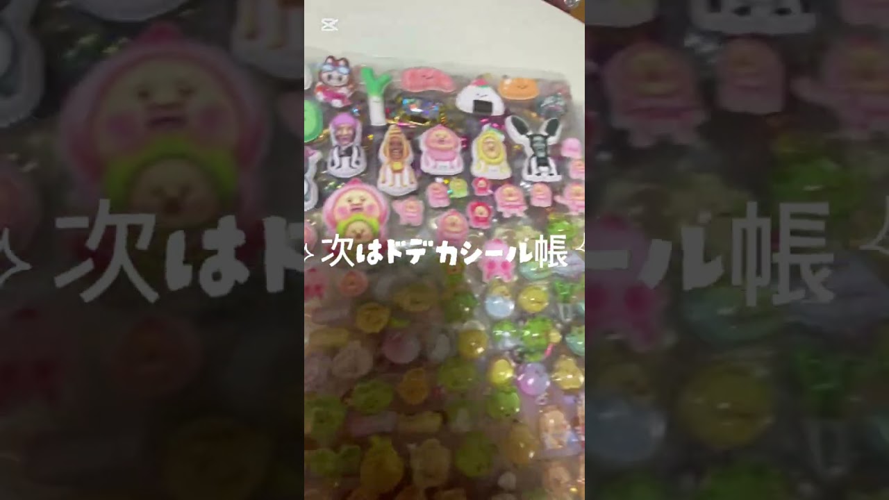 シール帳紹介！