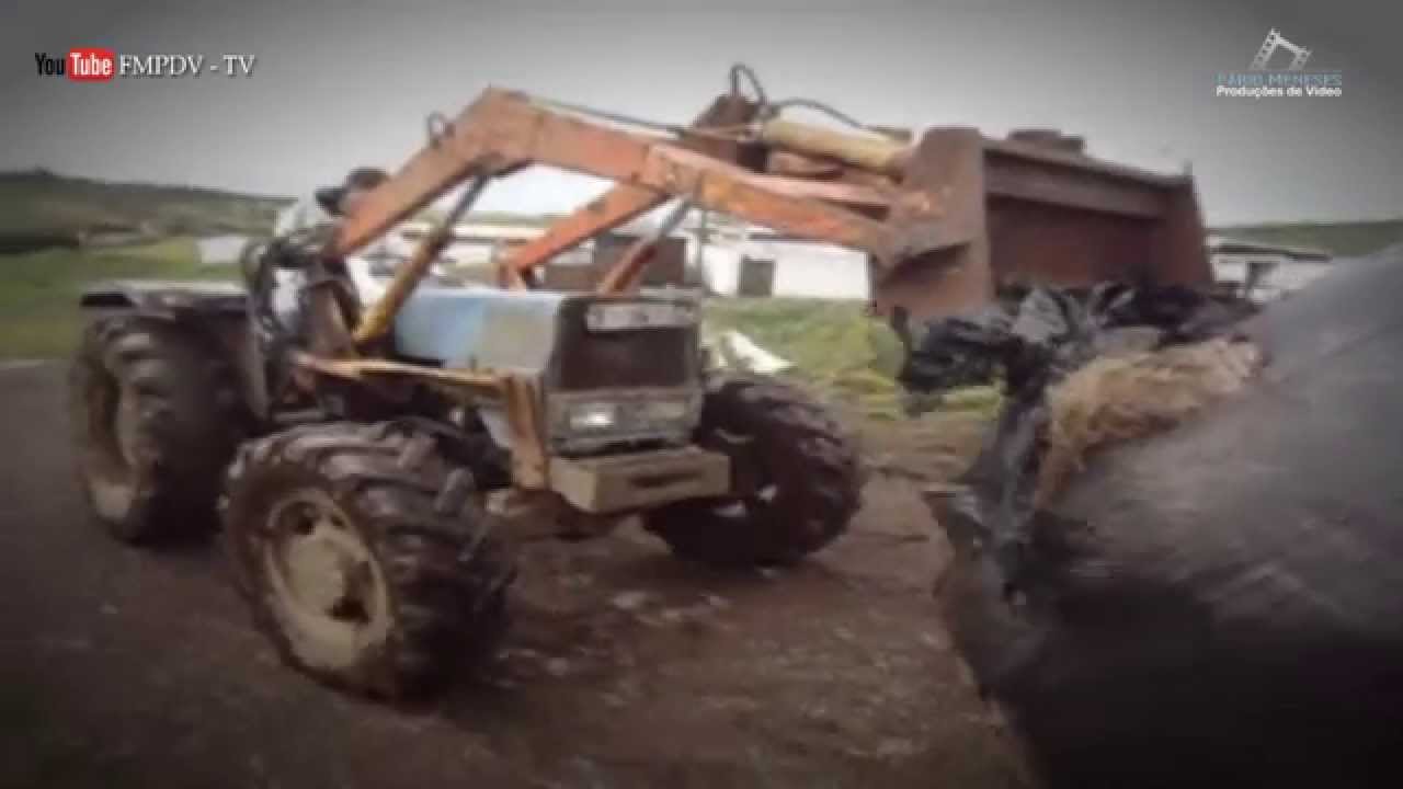 GANADARIA HUMBERTO FILIPE (HF) - 23-04-2015