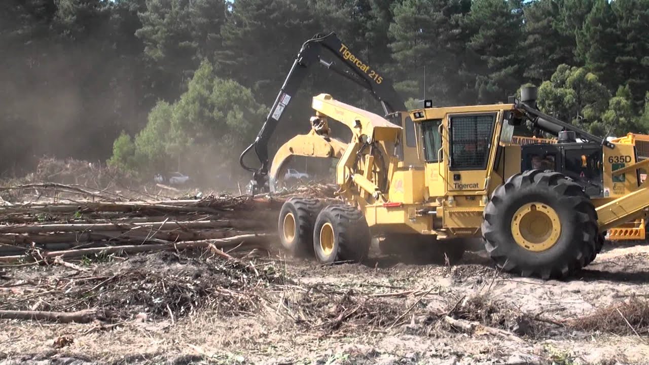 Tigercat - CBI full tree blue gum chipping operation