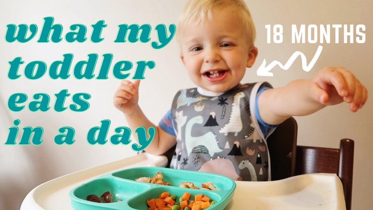 WHAT MY TODDLER EATS IN A DAY | 18 MONTHS OLD + TEETHING