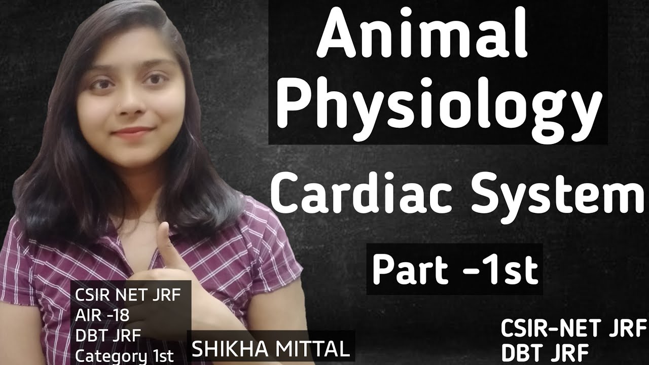 Cardiac System - Animal Physiology CSIR-NET JRF LIFESCIENCE
