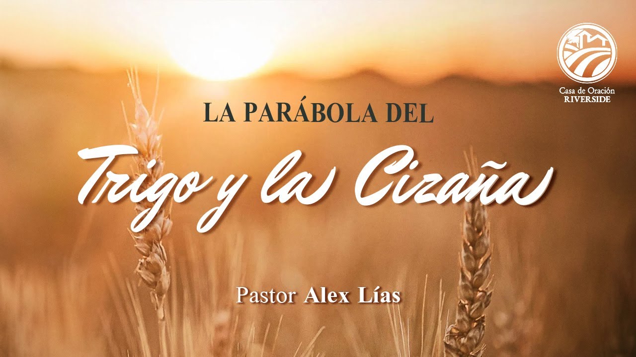 El Trigo y la Cizaña