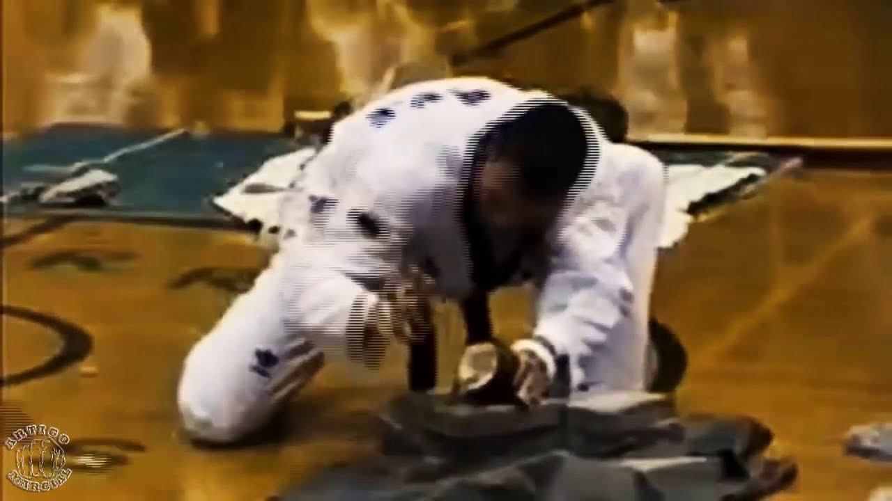 👊HAPKIDO ► Best Grand Master Moments Christopher Garland ★
