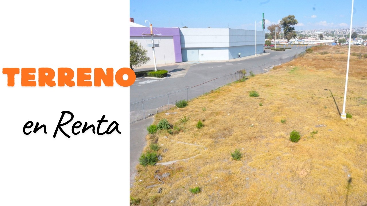 Terreno en Renta o Venta en avenida de alta afluencia vehicular.
