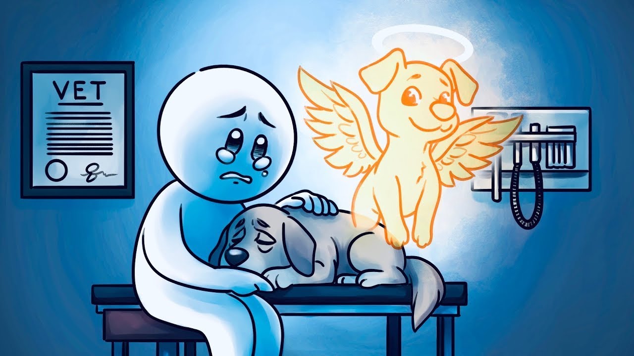 Do Animals Go to Heaven - What the Bible Says...