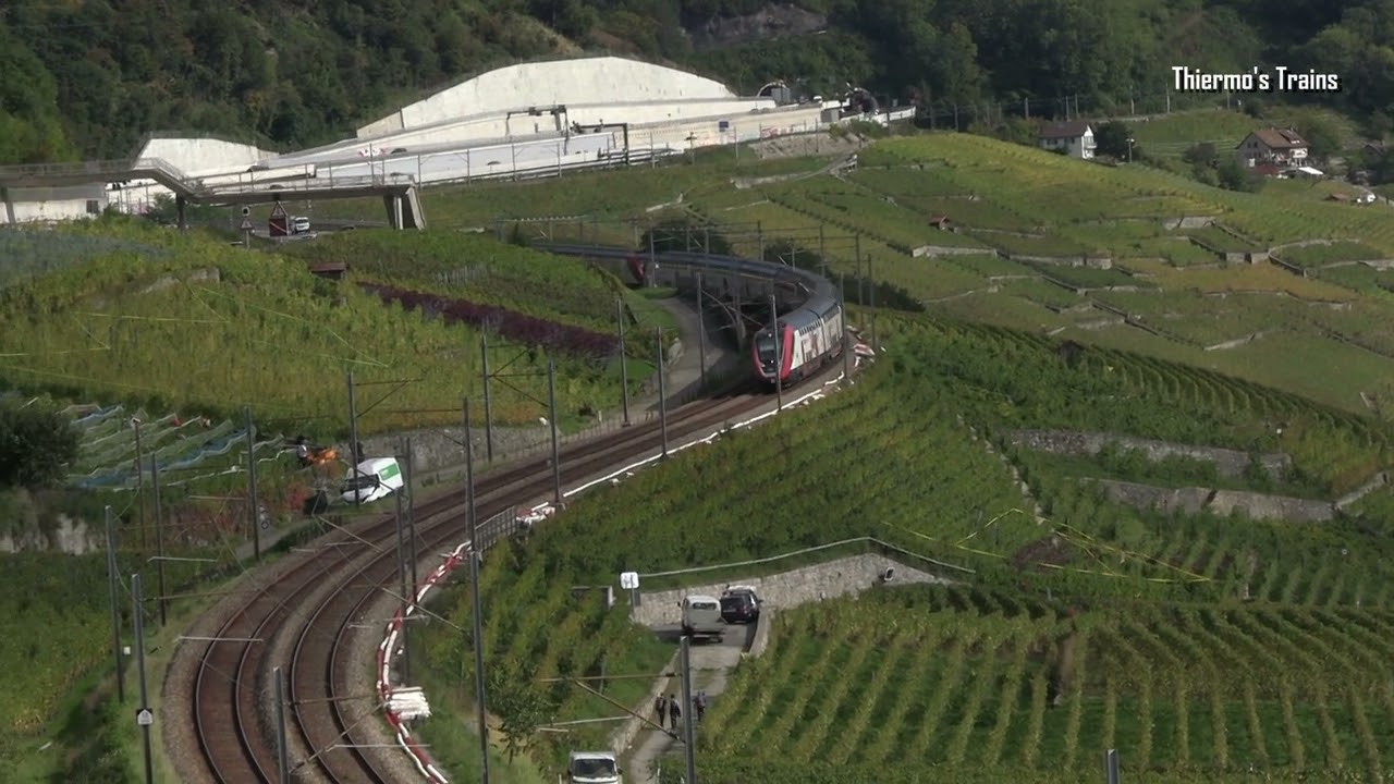 Trains through Lavaux 1, From Grandvaux to Epesses