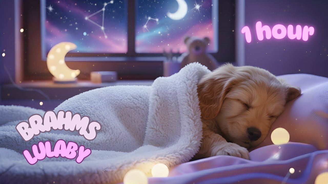 Brahms Lullaby – 1 Hour Baby Sleep Music | Soft Piano Lullaby