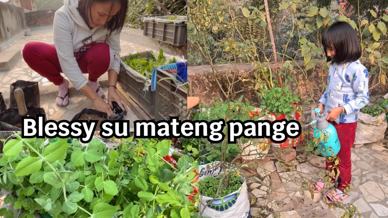 Sajibu Cheiraobagi pot chei thaba