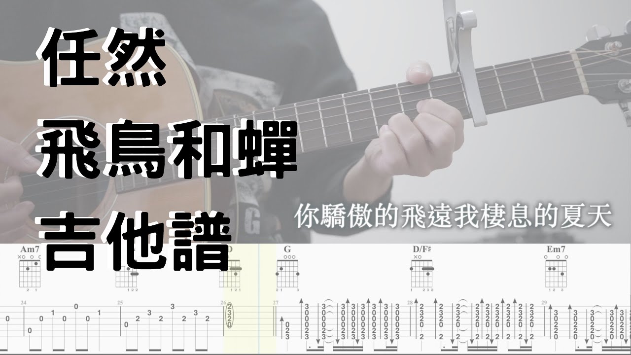 【哲伴奏】# 20  任然 -【飛鳥和蟬】吉他譜 吉他教學