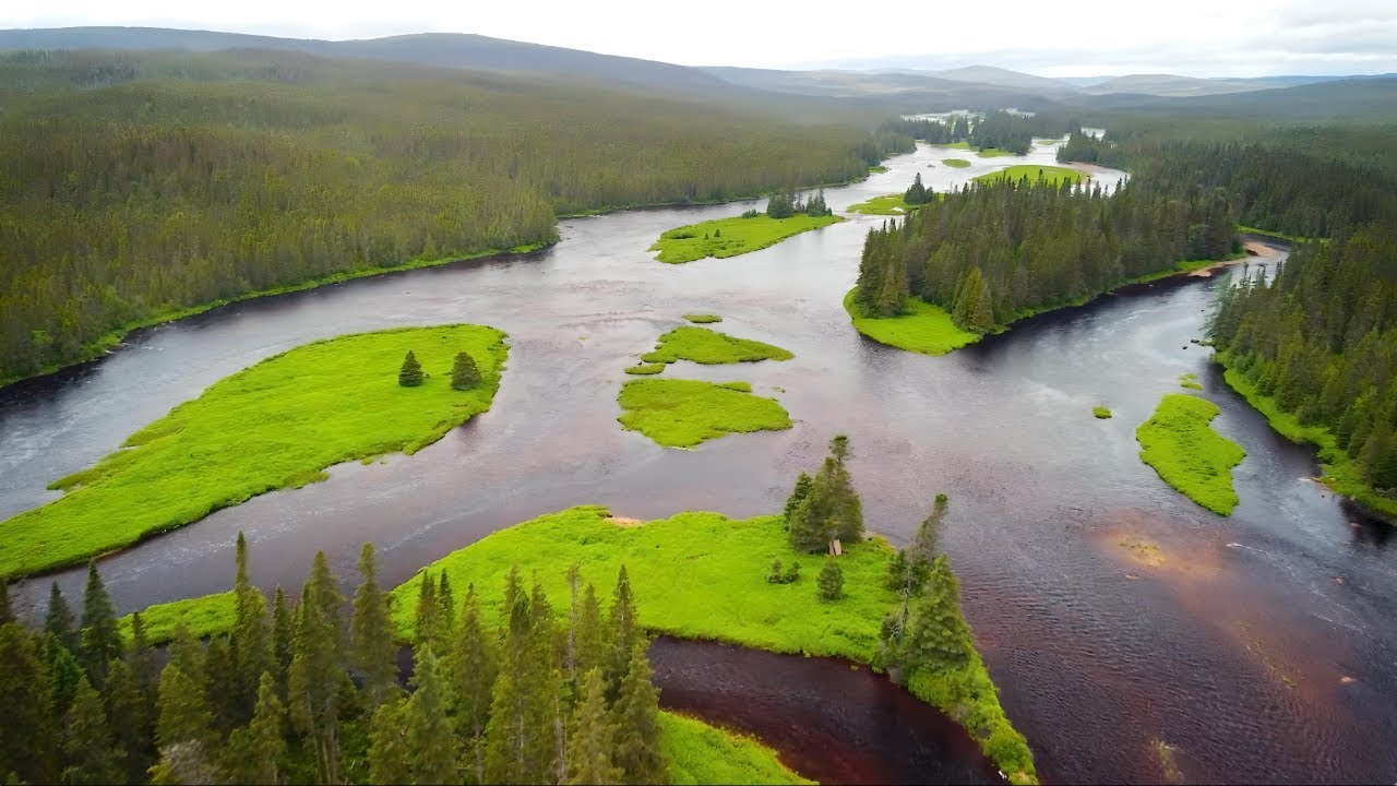 Fishing the Rivers of Northern Newfoundland