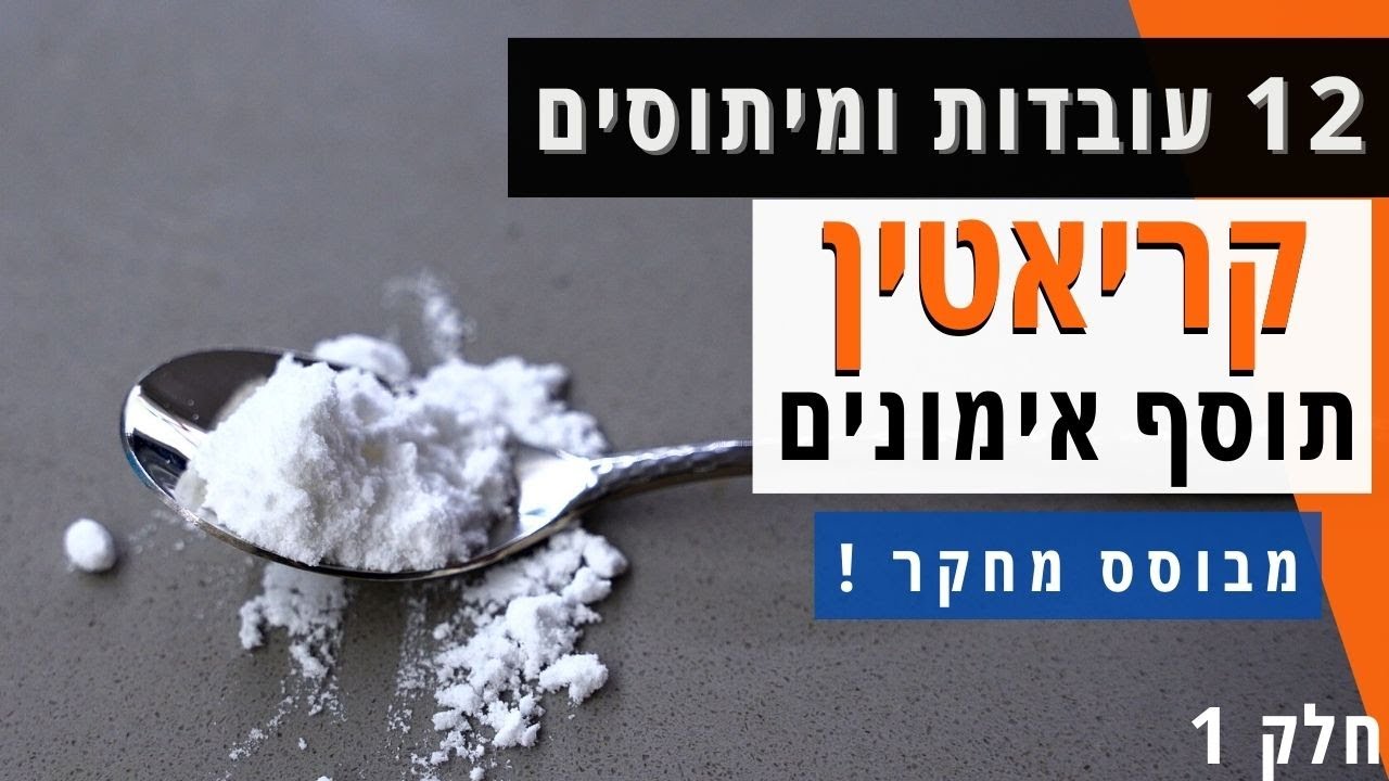 עובדות על קריאטין שכולם חייבים לדעת | חלק 1
