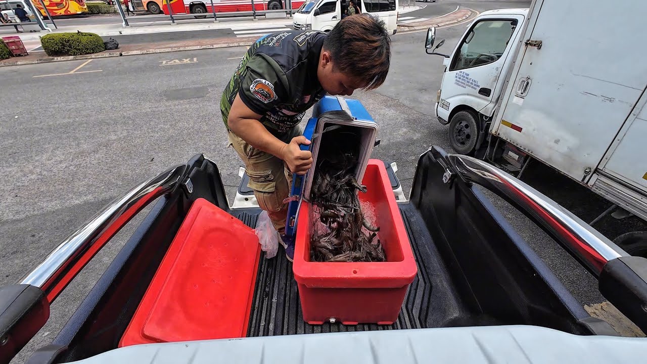 AMBIL UDANG GALAH PASSIN DI WHARF SIBU // SUASANA DALAM BOT EXPRESS MUAT 80 ORANG // 