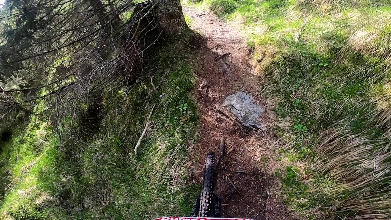 Bla Bla Run on Bargis #hometrails