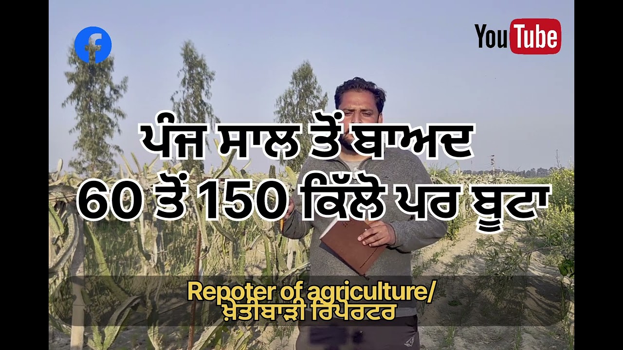 ਇੱਕ ਕਿੱਲੇ ਦਾ 50ਲੱਖ ਤੋਂ 1ਕਰੋੜ ਸਲਾਨਾ ਕਿਵੇਂ ਕਮਾ ਸਕਦੇ ਹਾਂ?ਕਿਸ ਫ਼ਸਲ ਦੀ ਖੇਤੀ ਕਰ ਸਕਦੀ ਹੈ ਮਾਲਾ ਮਾਲ?ਆਓ ਜਾਣੀਏ